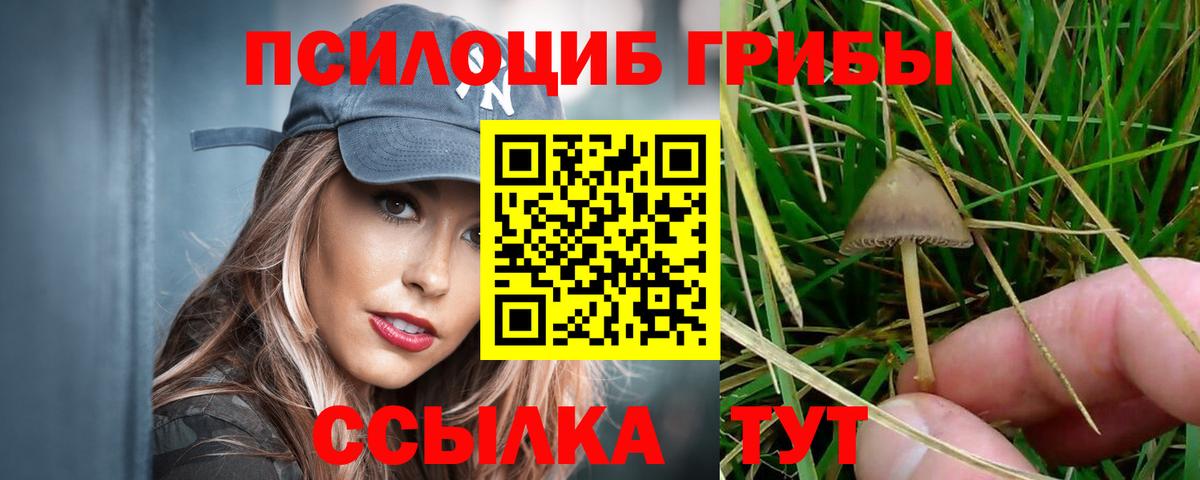 Галлюциногенные грибы GOLDEN TEACHER Ейск